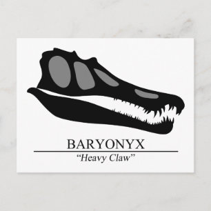 Baryonyx Skull Postcard
