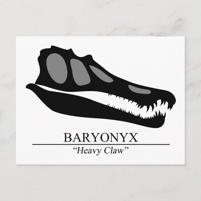 Baryonyx Skull Postcard (Front)