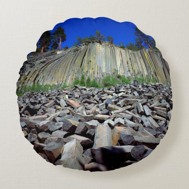 Basalt Formations of Devils Postpile Round Cushion (Front)
