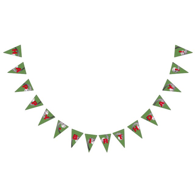 Baseball Birthday Banner FLAGS (All)