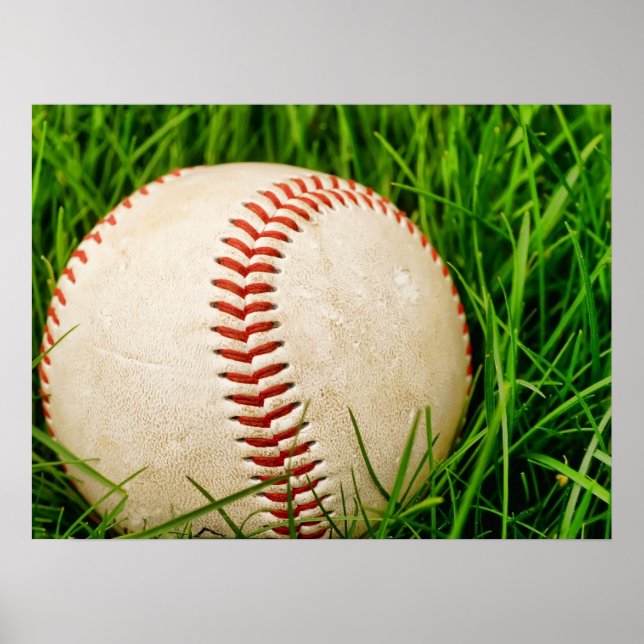 Baseball in the Summer Grass Poster (Front)
