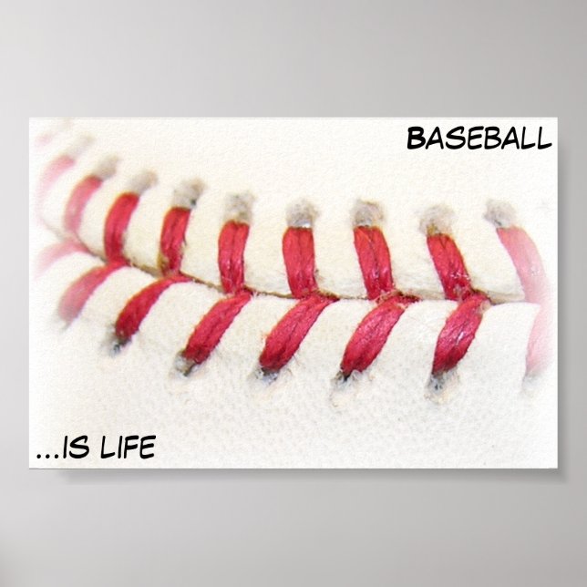 Baseball is Life Poster (Front)