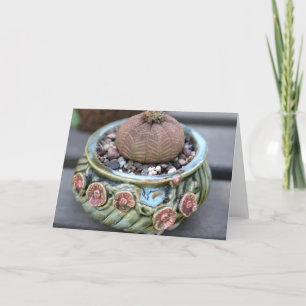 Baseball Plant Notecard by Succulent Designs