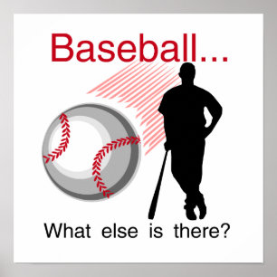 Baseball What Else T-shirts and Gifts Poster