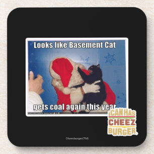 Basement Cat gets coal Coaster
