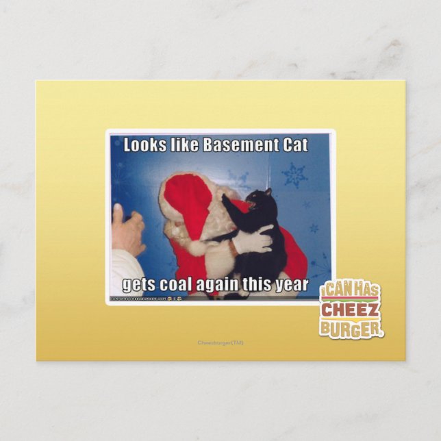 Basement Cat gets coal Postcard (Front)