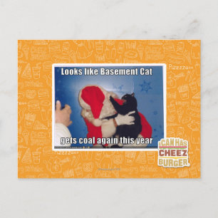 Basement Cat gets coal Postcard