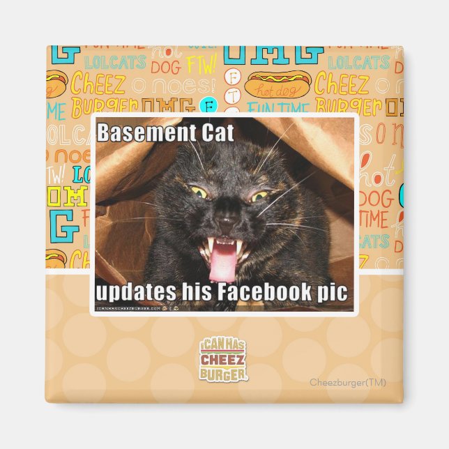 Basement Cat Magnet (Front)