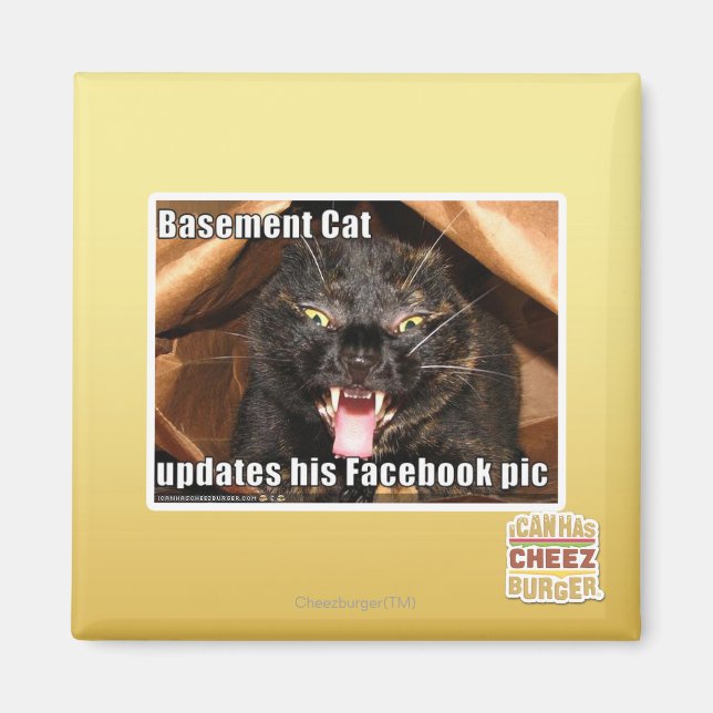 Basement Cat Magnet (Front)