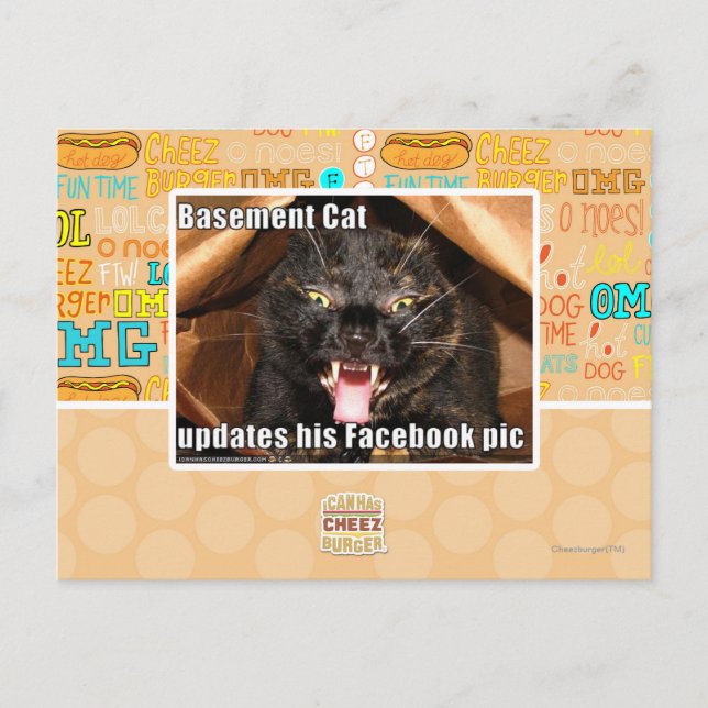 Basement Cat Postcard (Front)