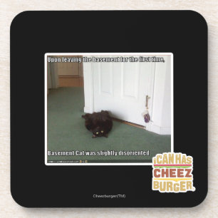 Basement Cat, slightly disoriented Coaster