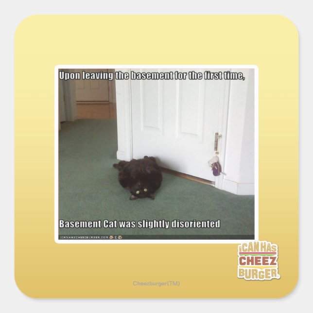 Basement Cat, slightly disoriented Square Sticker (Front)