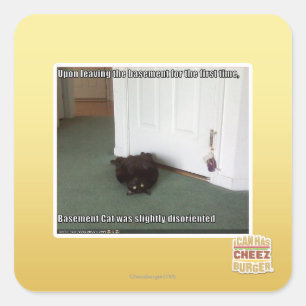 Basement Cat, slightly disoriented Square Sticker