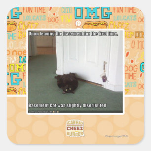 Basement Cat, slightly disoriented Square Sticker