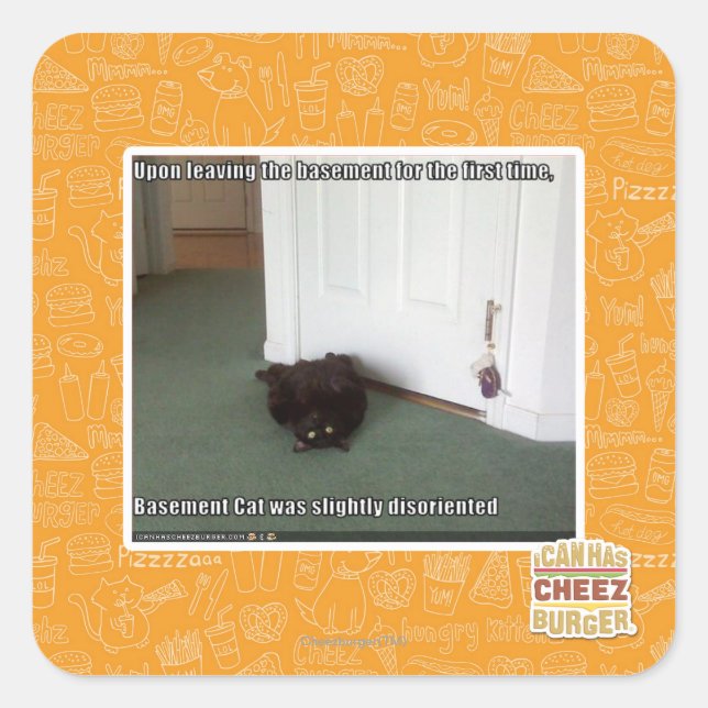 Basement Cat, slightly disoriented Square Sticker (Front)