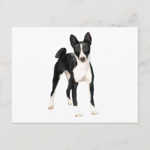 Basenji (B) - black and white Postcard