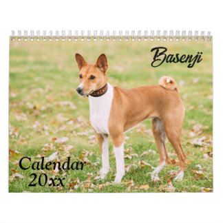 Basenji Calendar 2026