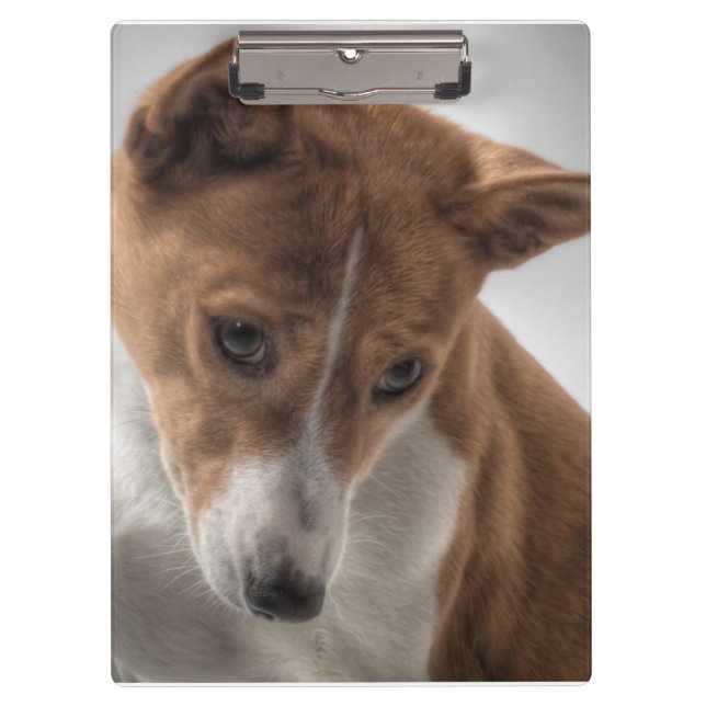 basenji clipboard (Front)