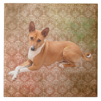 Basenji Dog Ceramic Tile