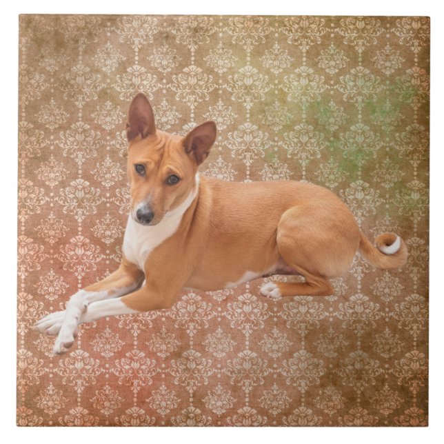 Basenji Dog  Ceramic Tile (Front)