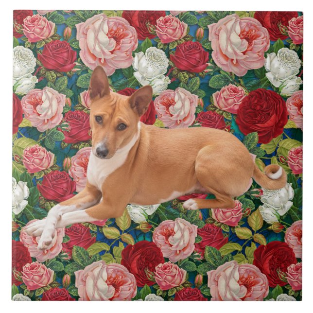 Basenji Dog  Ceramic Tile (Front)