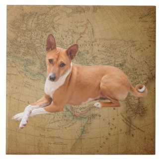 Basenji Dog Ceramic Tile