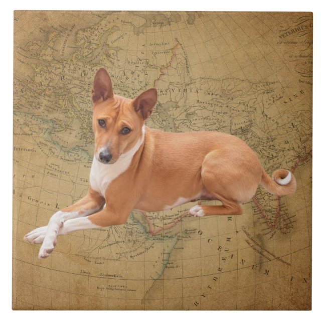 Basenji Dog  Ceramic Tile (Front)
