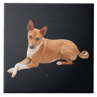 Basenji Dog Ceramic Tile