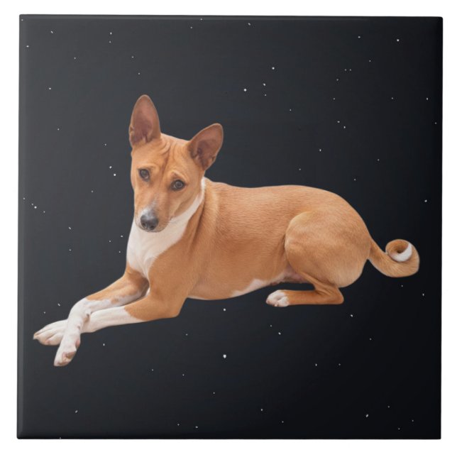 Basenji Dog  Ceramic Tile (Front)