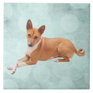 Basenji Dog Ceramic Tile
