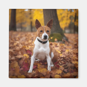 Basenji in Autumn Leaves Fall Inspire  Magnet