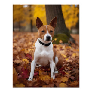 Basenji in Autumn Leaves Fall Inspire Poster