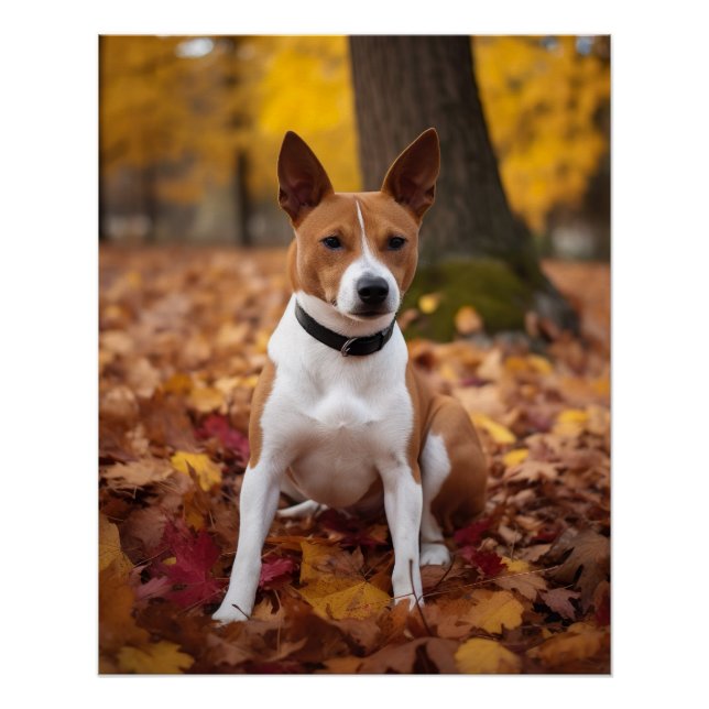 Basenji in Autumn Leaves Fall Inspire  Poster (Front)