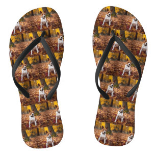 Basenji in Autumn Leaves Fall Inspire  Thongs