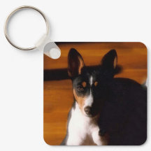 Basenji