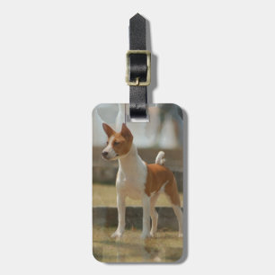 Basenji Luggage Tag