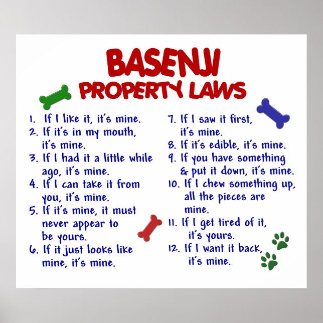 BASENJI PL2 POSTER (Front)