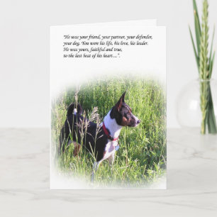 Basenji Rainbow Bridge Card