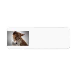 basenji return address label
