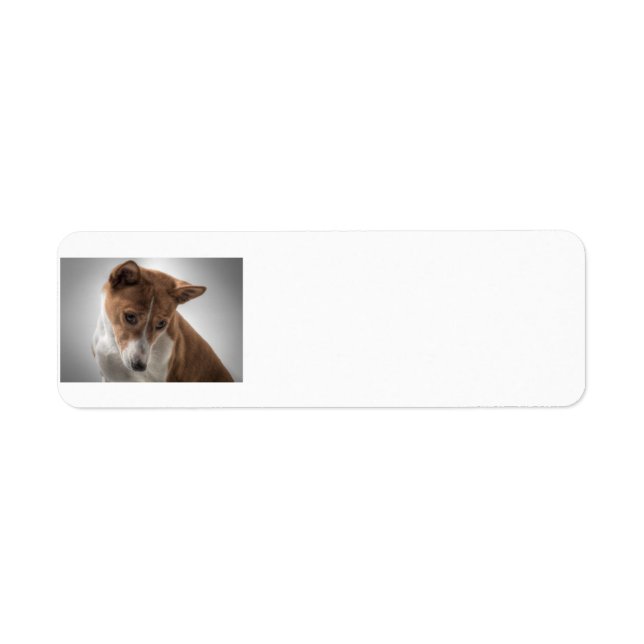 basenji return address label (Front)