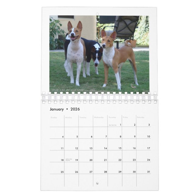 Basenjis of Socal 2010 Calendar (Jan 2026)