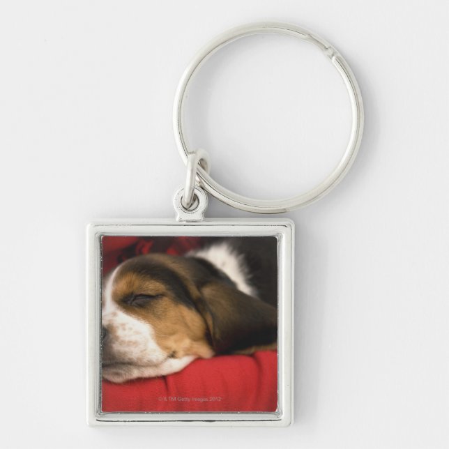 Bashaw, Alberta, Canada Key Ring (Front)