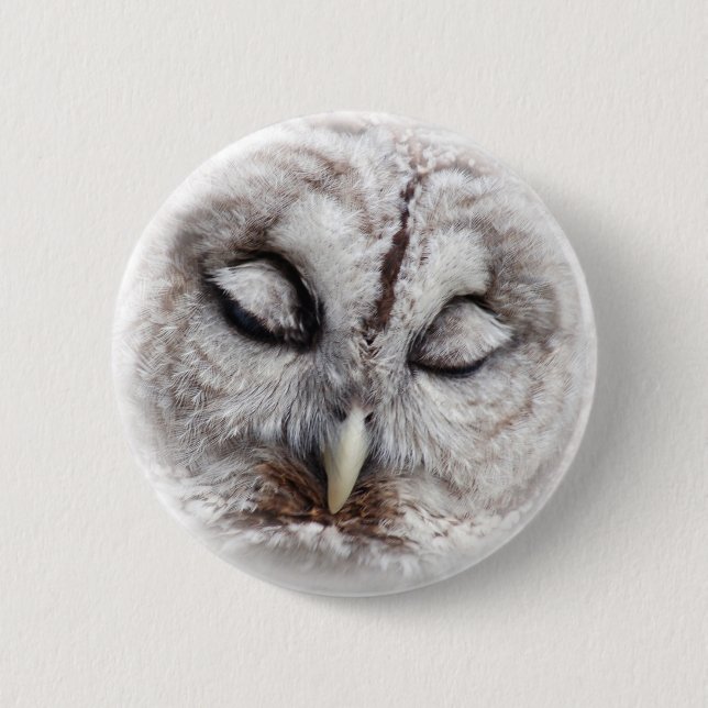 Bashful Barred Owl 6 Cm Round Badge (Front)