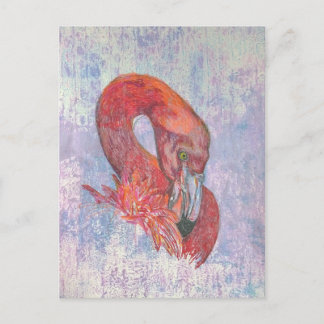 Bashful Flamingo Postcard