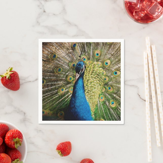 Bashful Peacock  Napkin (Insitu)