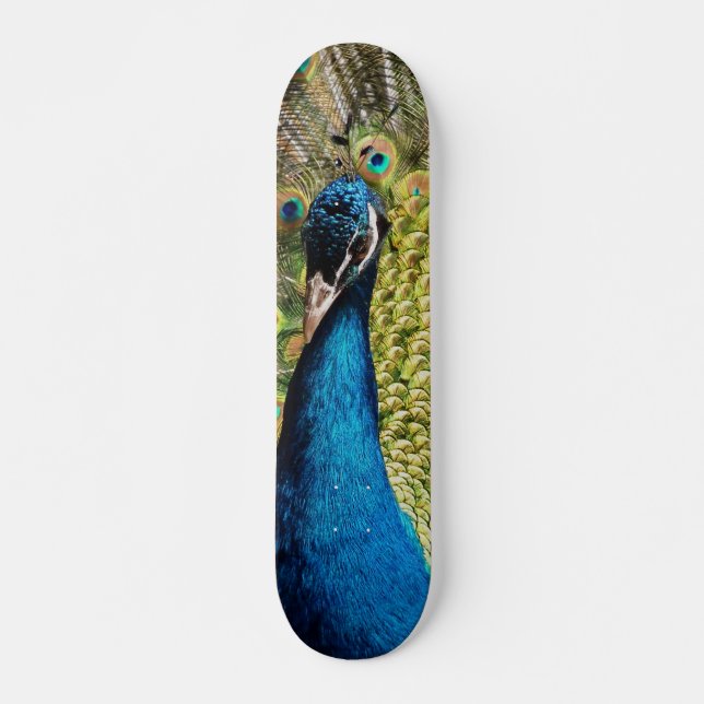 Bashful Peacock Skateboard (Front)