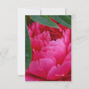 Bashful Pink Peony Card