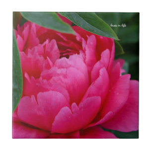 Bashful Pink Peony Ceramic Tile
