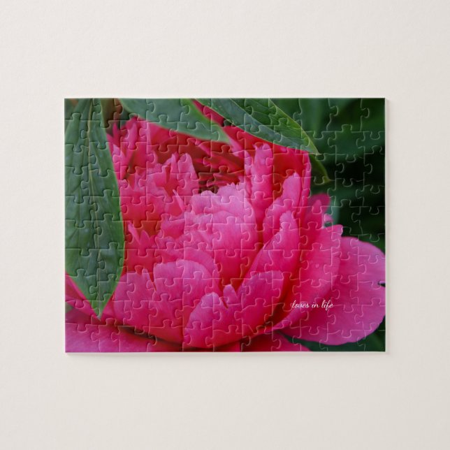 Bashful Pink Peony Jigsaw Puzzle (Horizontal)