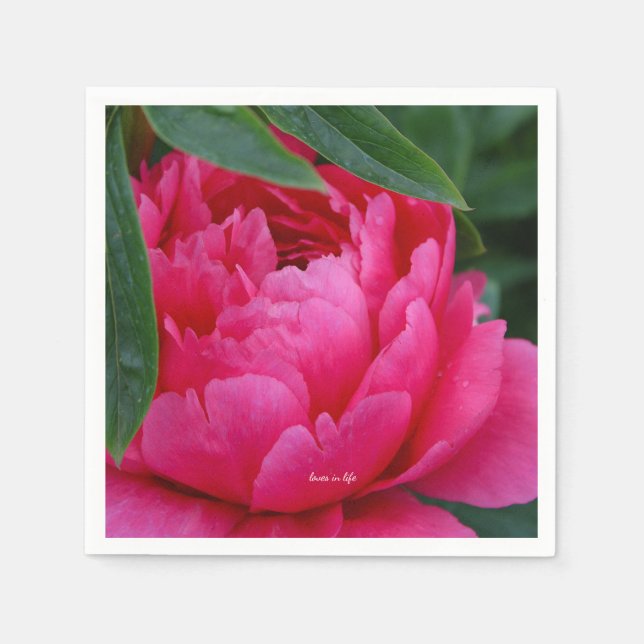 Bashful Pink Peony Napkin (Front)